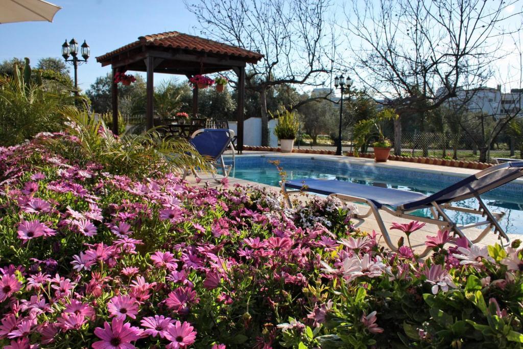 Paphos Villa Paradise חדר תמונה